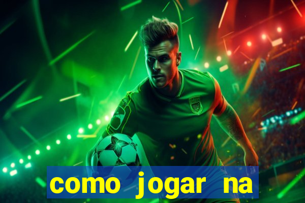 como jogar na lotinha do jogo do bicho